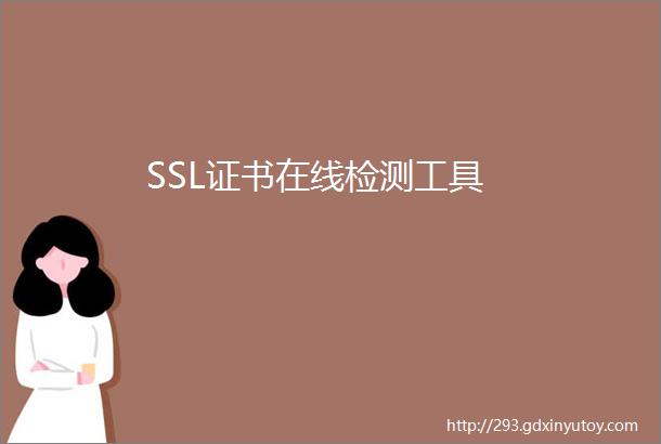 SSL证书在线检测工具