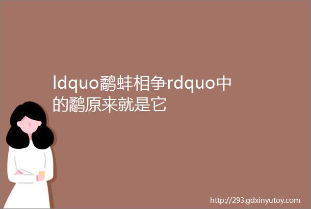 ldquo鹬蚌相争rdquo中的鹬原来就是它