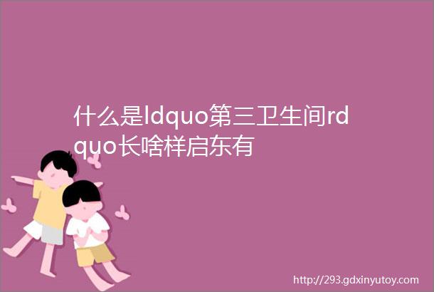 什么是ldquo第三卫生间rdquo长啥样启东有