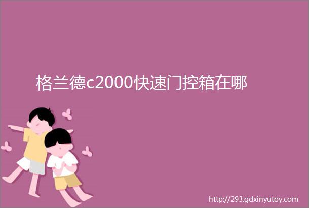 格兰德c2000快速门控箱在哪