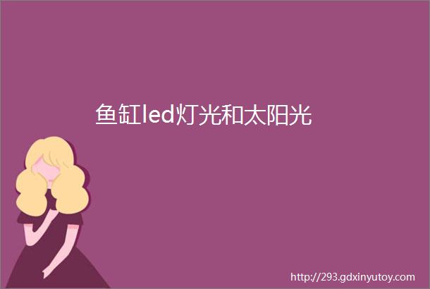 鱼缸led灯光和太阳光