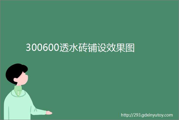 300600透水砖铺设效果图