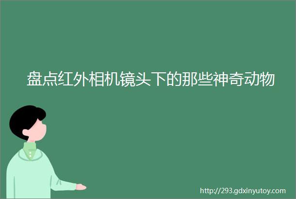 盘点红外相机镜头下的那些神奇动物