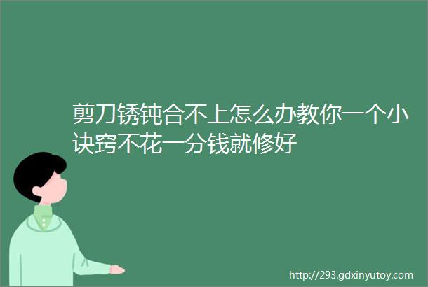 剪刀锈钝合不上怎么办教你一个小诀窍不花一分钱就修好