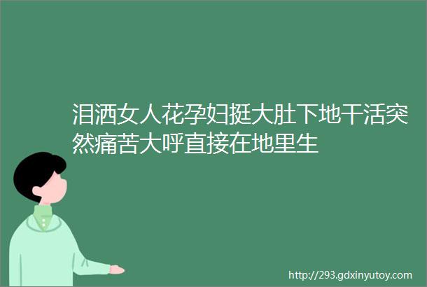 泪洒女人花孕妇挺大肚下地干活突然痛苦大呼直接在地里生