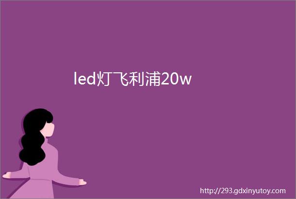 led灯飞利浦20w