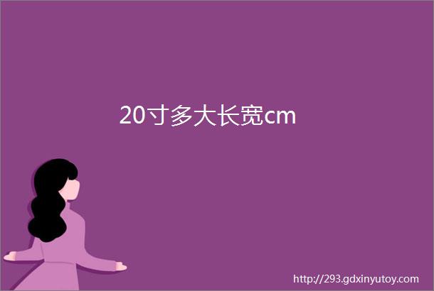 20寸多大长宽cm