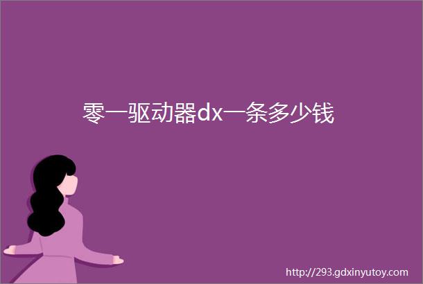 零一驱动器dx一条多少钱