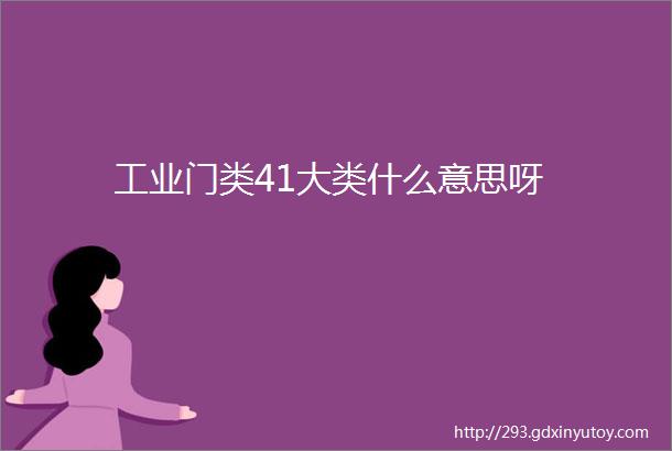 工业门类41大类什么意思呀