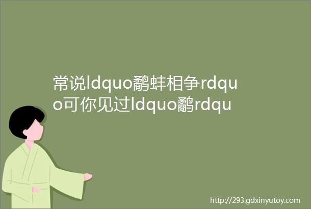 常说ldquo鹬蚌相争rdquo可你见过ldquo鹬rdquo吗哈尔滨大哥捡到一只还是天山掉下来的helliphelliphellip