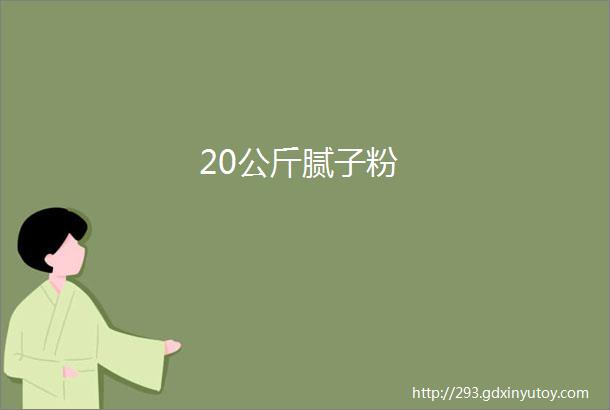 20公斤腻子粉