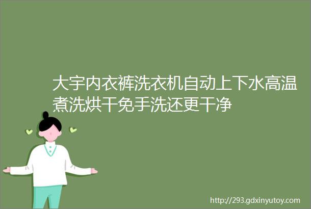 大宇内衣裤洗衣机自动上下水高温煮洗烘干免手洗还更干净