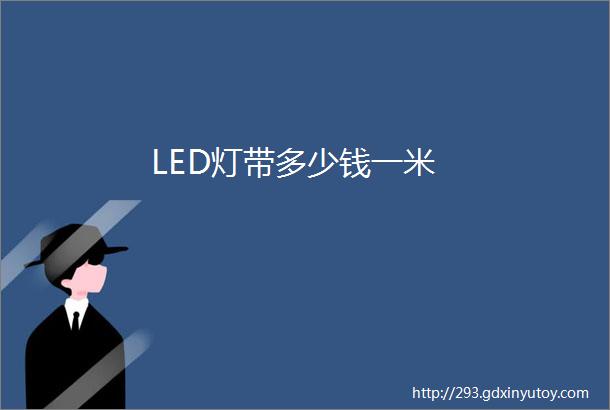 LED灯带多少钱一米