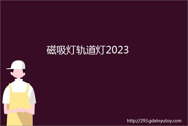 磁吸灯轨道灯2023