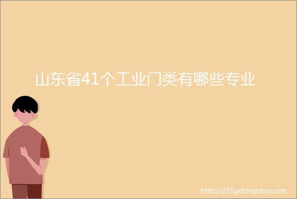 山东省41个工业门类有哪些专业