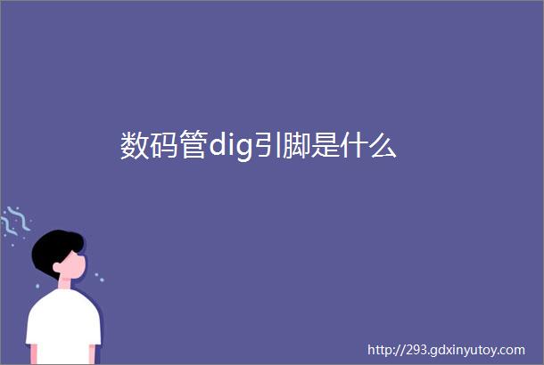 数码管dig引脚是什么