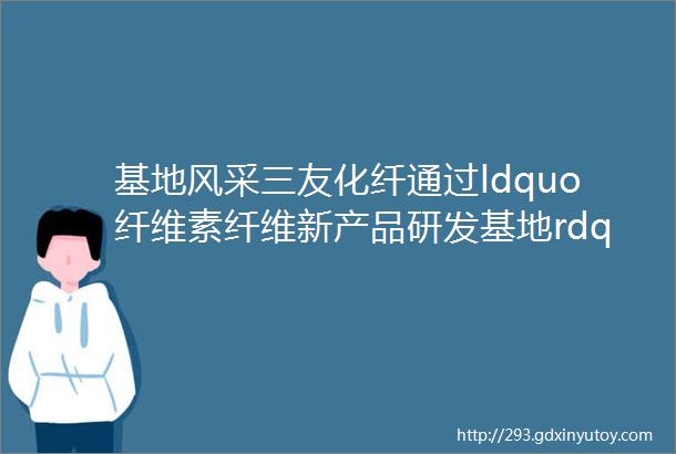 基地风采三友化纤通过ldquo纤维素纤维新产品研发基地rdquo复评