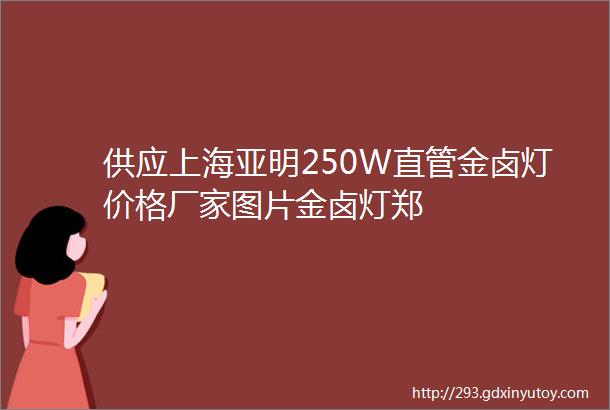 供应上海亚明250W直管金卤灯价格厂家图片金卤灯郑