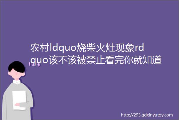 农村ldquo烧柴火灶现象rdquo该不该被禁止看完你就知道了