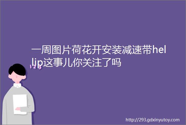 一周图片荷花开安装减速带hellip这事儿你关注了吗