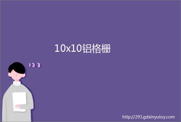 10x10铝格栅