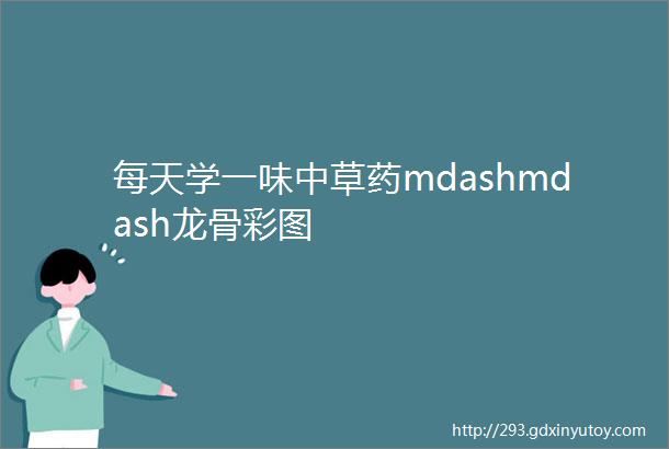 每天学一味中草药mdashmdash龙骨彩图